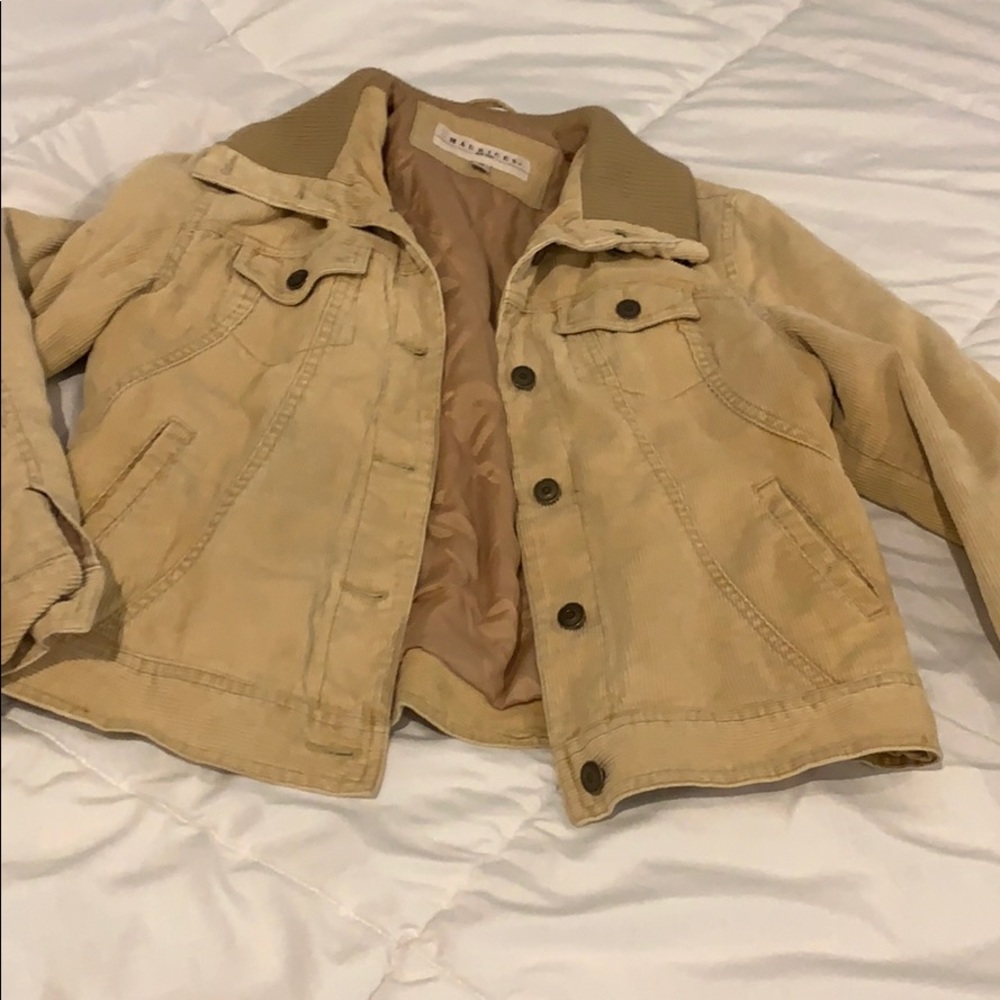 The perfect wear anywhere jacket! Size M Maurices